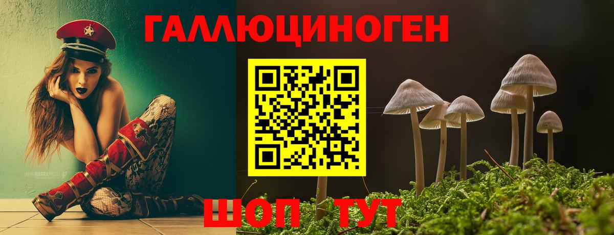 Миллерово  Псилоцибиновые грибы GOLDEN TEACHER  Галлюциногенные грибы MAGIC MUSHROOMS  Вход с VPN 